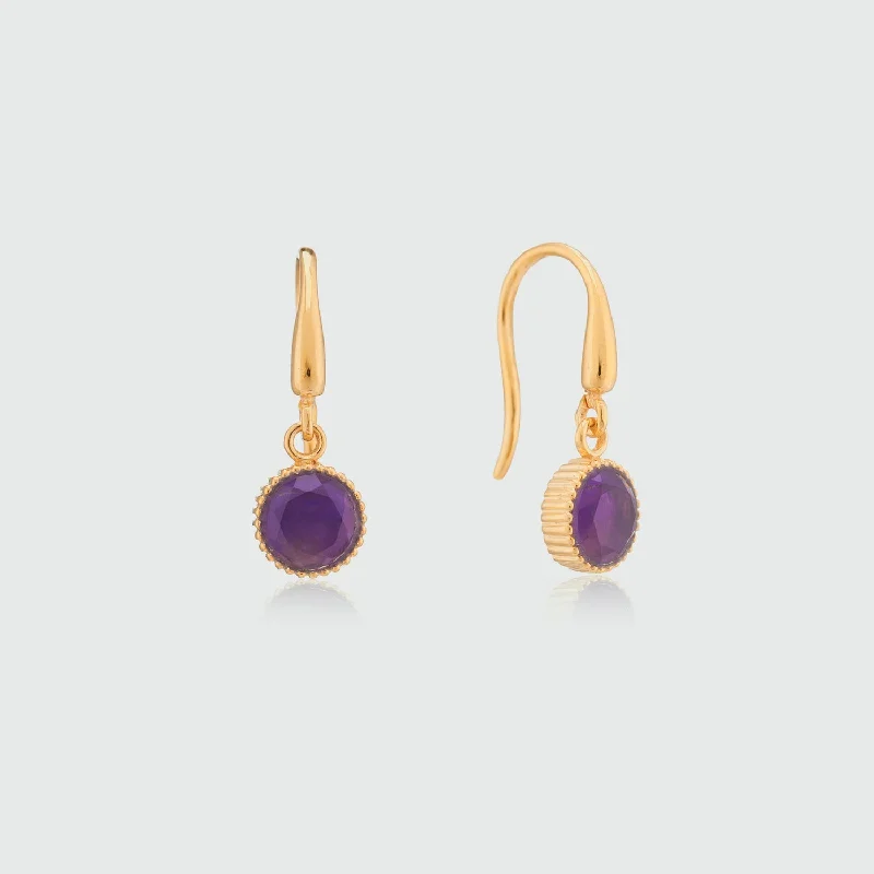 Best hoop earrings with matte finish for a sophisticated, understated design-Barcelona February Amethyst Birthstone Hook Earrings